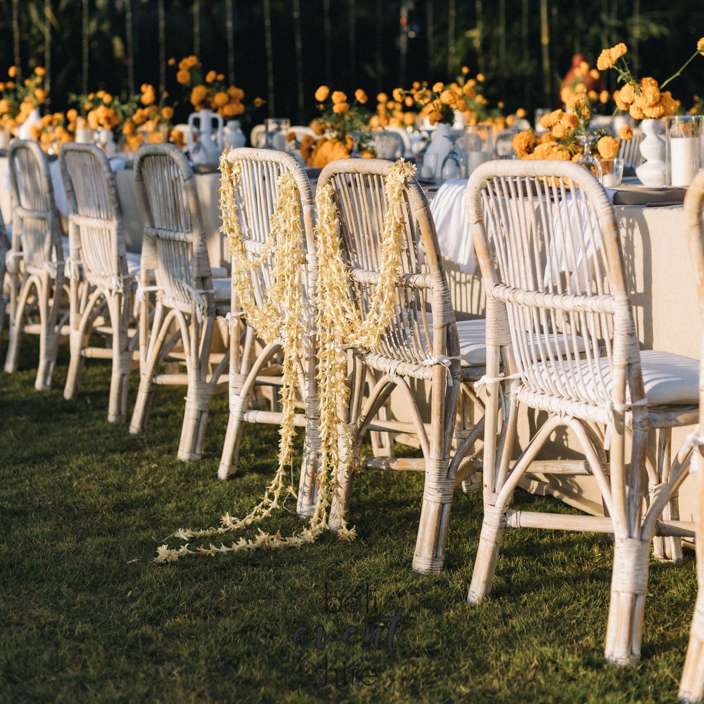 Chair Byron Whitewash