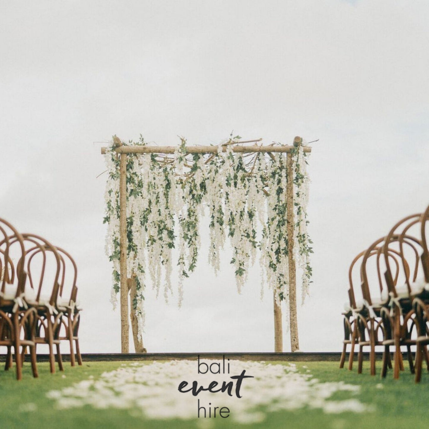 Chair Bentwood Walnut