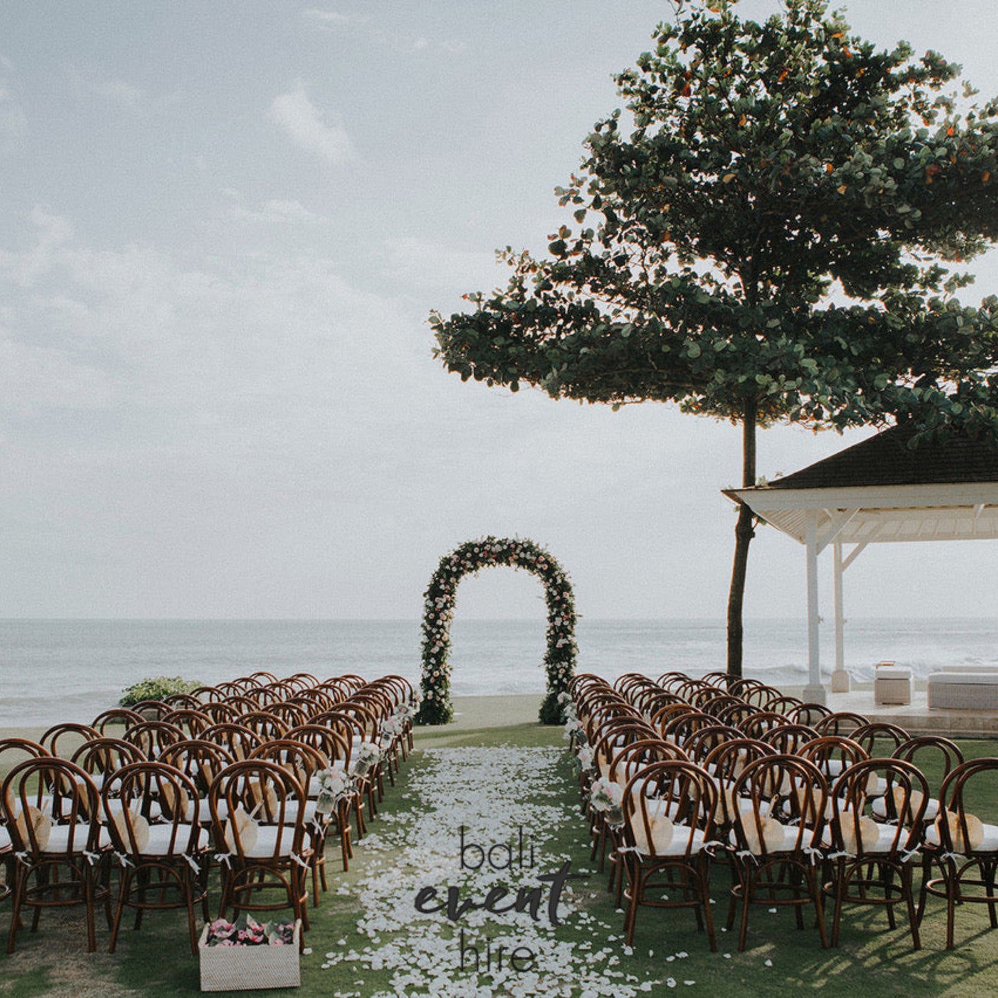 Chair Bentwood Walnut